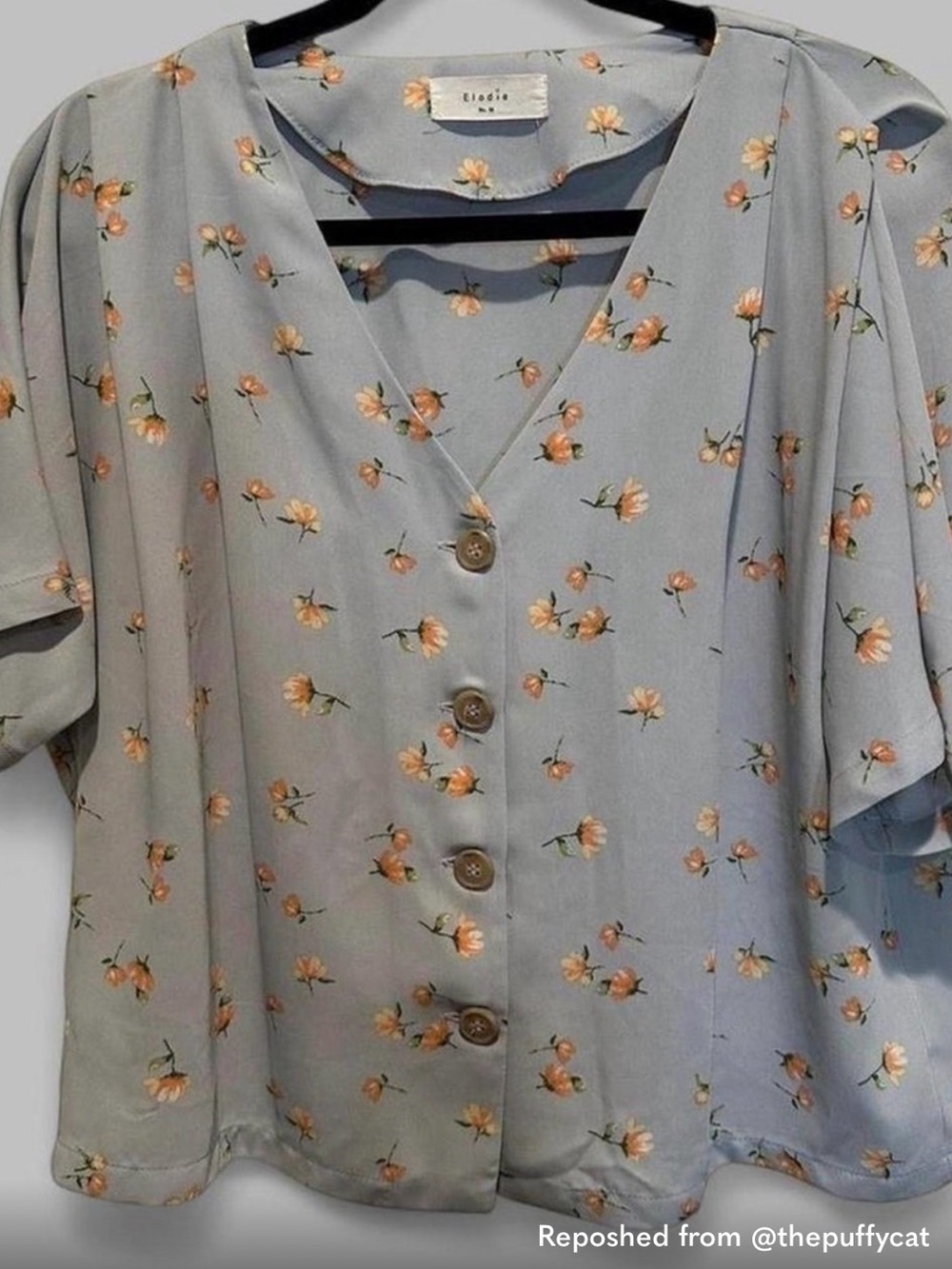 Elodie Light Blue Floral Button-Front Crop Blouse